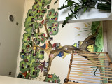 Strom, ktorý je namaľovaný na stene chodby. V jeho korune, na konároch, či miesto listov sú nalepené fotky detí z Tábitha ház – tých, ktoré stále využívajú napríklad odľahčovacie služby, no aj tých, ktoré tu už nie sú. 